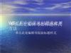 WB过程中常见问题及处理方法.ppt