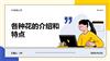 各种花的介绍和特点.pptx