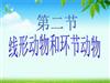 一第二节线形动物和环节动物.ppt