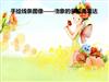 手绘线条图象-物象的多视角表达.ppt