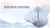 营销求职英文简历模板PPT.pptx